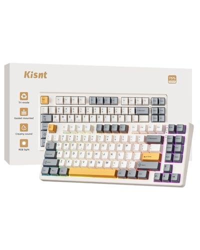 Kisnt Wireless Mechanical Keyboard - Creamy Sound, RGB