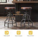 Vintage Industrial Adjustable Bar Stool Set of 2