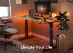 FEZIBO Height Adjustable Electric Standing Desk