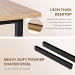 Modern Adjustable Computer Desk for Home Office