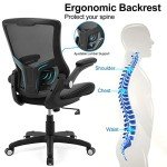 Ergonomic Swivel Office Chair with Lumbar Support