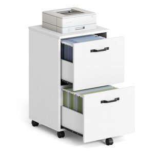 Rolling 2-Drawer File Cabinet for Home Office