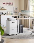Rolling 2-Drawer File Cabinet for Home Office