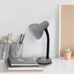 Gray Basic Metal Desk Lamp with Flexible Neck