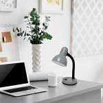 Gray Basic Metal Desk Lamp with Flexible Neck