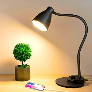 LED Desk Lamp with USB Port and Dimmable Light