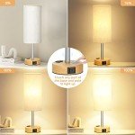 Dimmable Touch Bedside Table Lamp with USB Ports