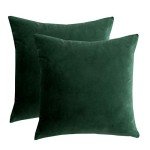 Set of 2 Dark Green Velvet Throw Pillow Covers
