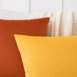 Cozy Velvet Decorative Throw Pillow Covers - Set of 2