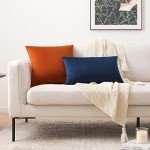 Cozy Velvet Decorative Throw Pillow Covers - Set of 2