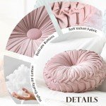 Velvet Round Pleated Throw Pillow in Blush