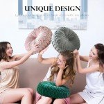 Velvet Round Pleated Throw Pillow in Blush