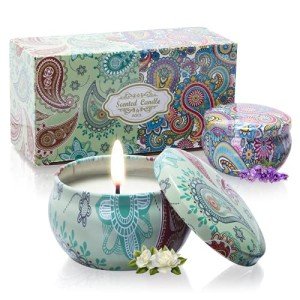 2 Pack Floral Scented Soy Candles for Home