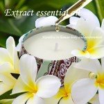 2 Pack Floral Scented Soy Candles for Home