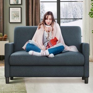Cozy Teddy Loveseat Sofa for Small Spaces