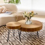 Modern Farmhouse 2-Piece Round Coffee Table Set