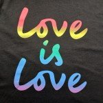 Pride Short Sleeve Black Tee for 4th of July