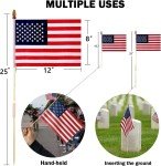 24 Pack American Flags on Stick for 4th of July