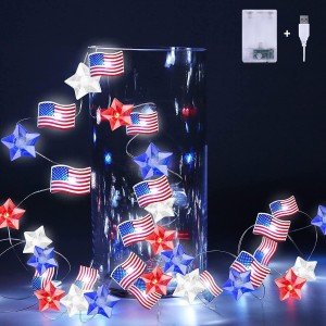 Patriotic 10FT LED Red, White, Blue Lights