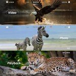 4th of July Digital Night Vision Goggles