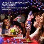 Patriotic 10FT LED Red, White, & Blue Lights