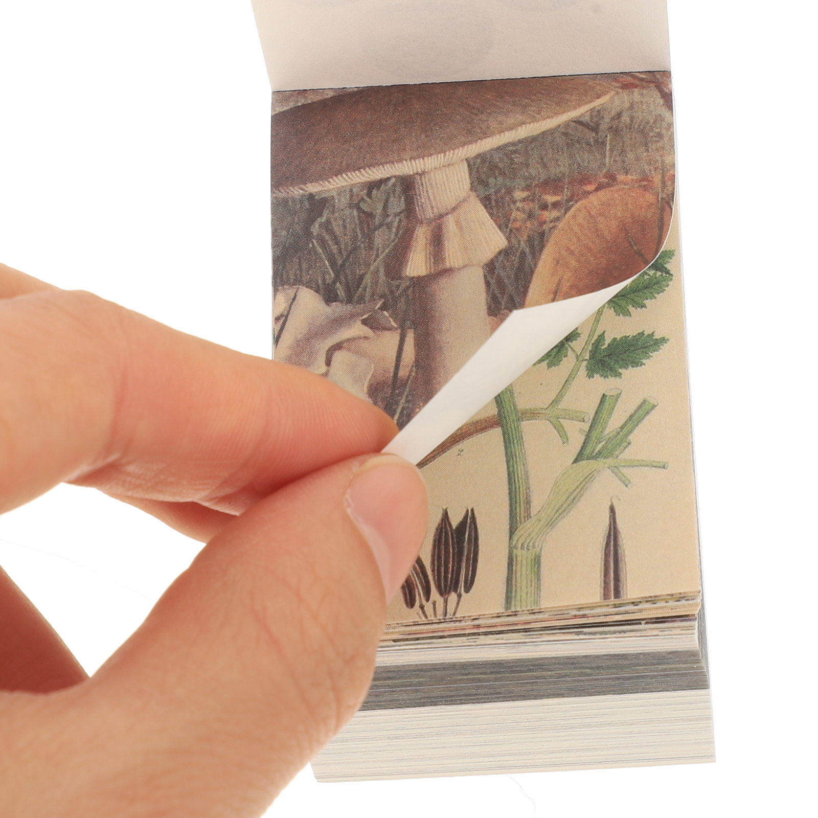 Decorative Vintage Notebook with Pad Papers