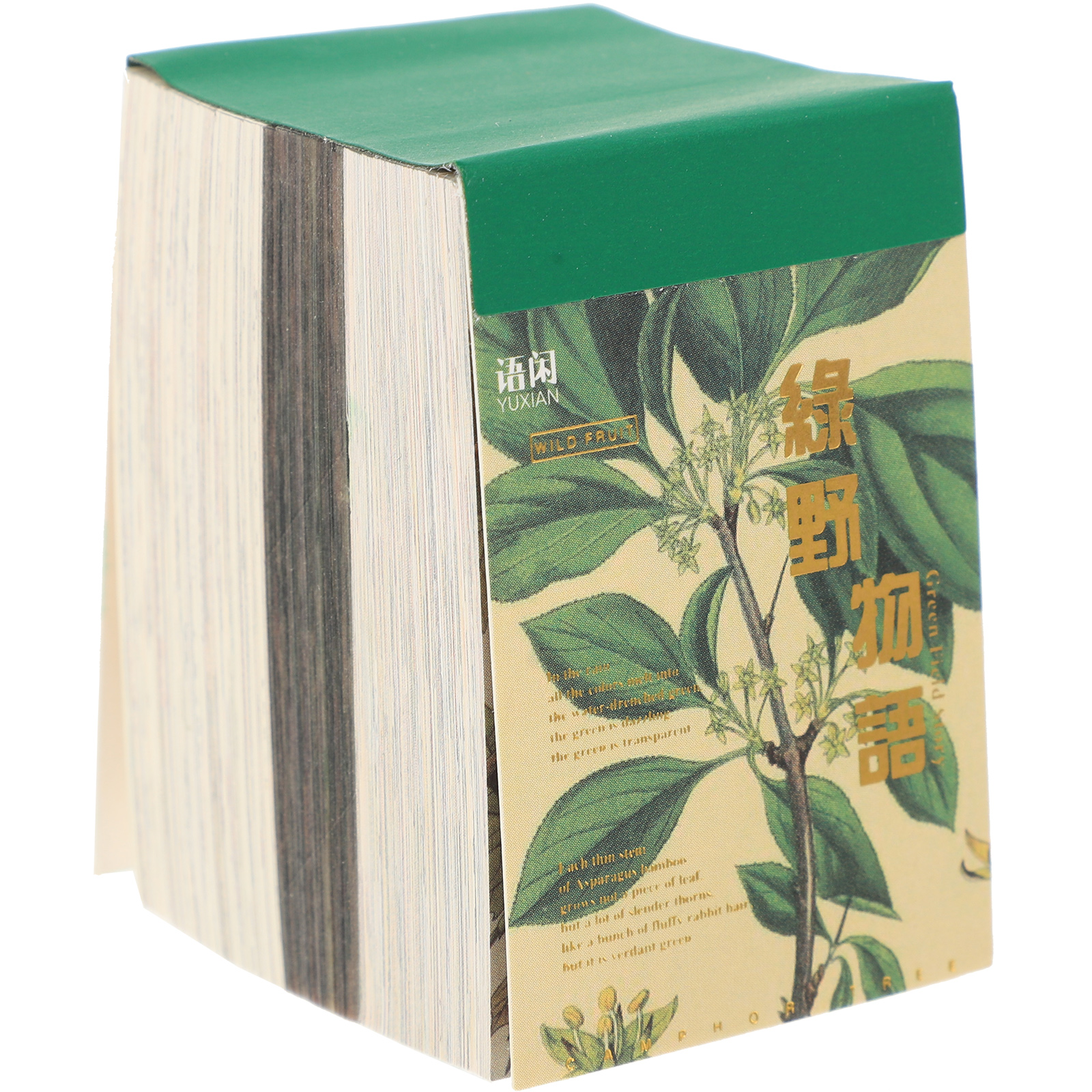 Decorative Vintage Notebook with Pad Papers