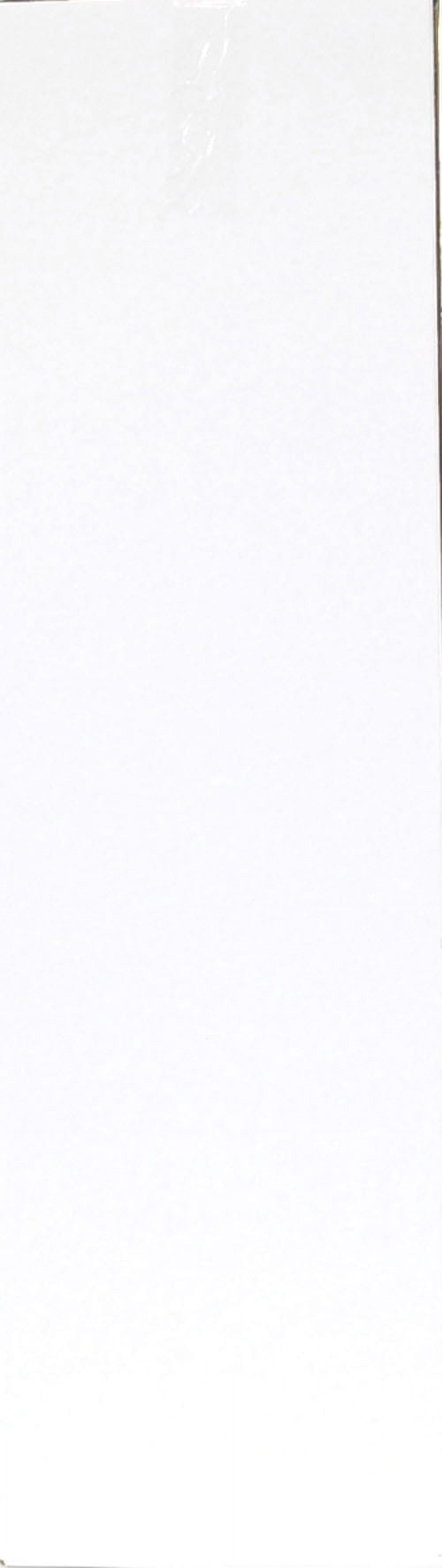 Everlast Heavy Bag Kit - 70 lbs