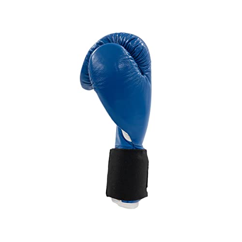 CLETO REYES Boxing Gloves for Training and Competition