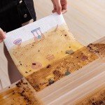 50-Pack Disposable Kitchen Paper Towels for Cleaning