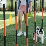 Eco-Friendly Compostable Dog Poop Bags - 270 Count