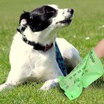 Thicker Biodegradable Dog Poop Bags - 120 Count