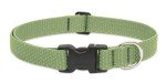 Adjustable 1-Inch Eco Dog Collar - Moss Color