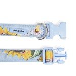 Adjustable Water-Repellent Pet Collar - Sunflower Sky