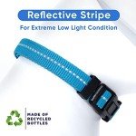 Eco-Friendly Reflective Dog Collar - Teal Wave