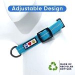 Eco-Friendly Reflective Dog Collar - Teal Wave