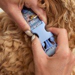 Adjustable Water-Repellent Pet Collar - Sunflower Sky