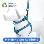 Eco-Friendly Reflective Dog Collar - Teal Wave