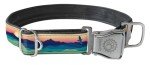 Cycle Dog Eco-Friendly Waterproof Dog Collar - Medium