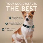 Eco-Friendly Adjustable Dog Collar - Dark Sea Size S