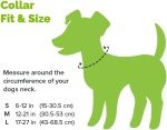 Cycle Dog Eco-Friendly Waterproof Dog Collar - Medium