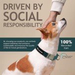 Eco-Friendly Adjustable Dog Collar - Dark Sea Size S