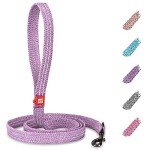 Eco-Friendly Recycled Cotton Dog Leash - Reflective