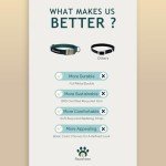 Eco-Friendly Adjustable Dog Collar - Dark Sea Size S