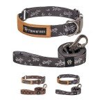 Eco-Friendly Adjustable Dog Collar and Leash Set