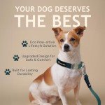 Eco-Friendly Dog Leash with Soft Swivel Hook