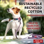 Eco-Friendly Recycled Cotton Dog Leash - Reflective