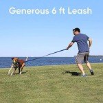 Eco-Friendly 6 FT Reflective Dog Leash - Blue