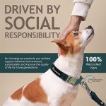 Eco-Friendly Dog Leash with Soft Swivel Hook