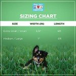 Eco-Friendly 6 FT Reflective Dog Leash - Blue